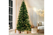 Christmas Tree Pre-Booking 2025 – Fresh Premium Trees Delivered Across the UAE