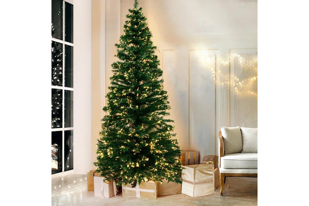 Christmas Tree Pre-Booking 2025 – Fresh Premium Trees Delivered Across the UAE