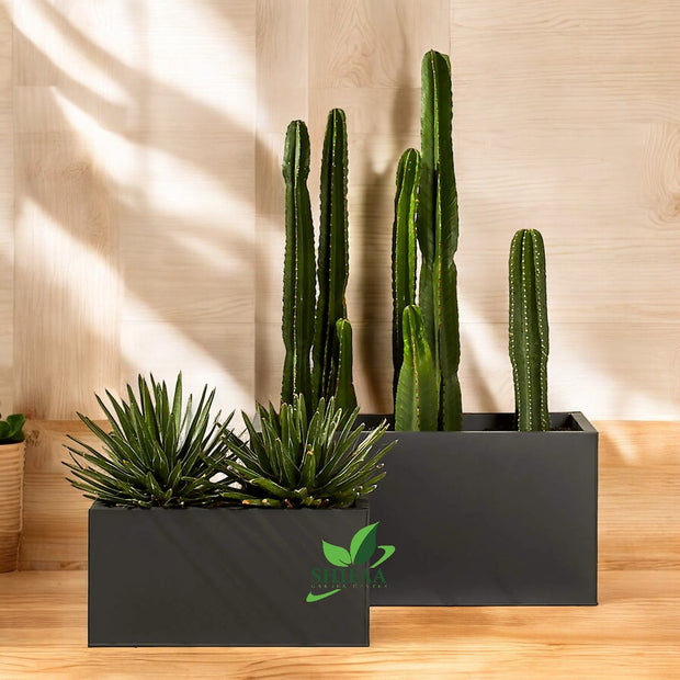 Rectangular Planter