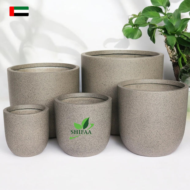 Beige Color Planters