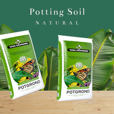 Potting Soil "Holland" 20L - Premium Quality